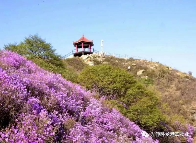 SG·亚洲胜游(中国区)官方网站_首页|欢迎您!