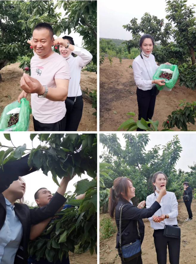 SG·亚洲胜游(中国区)官方网站_首页|欢迎您!